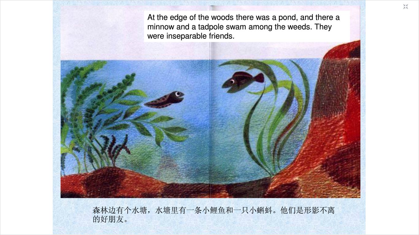 鱼就是鱼 (02),绘本,绘本故事,绘本阅读,故事书,童书,图画书,课外阅读